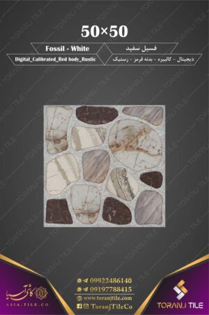 سرامیک فسیل سفید سایز 50 در 50 کاشی آسیا