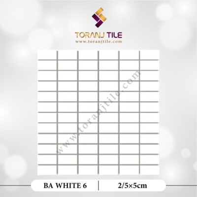 سرامیک کاشی استخری مستطیل البرز BA WHITE 6