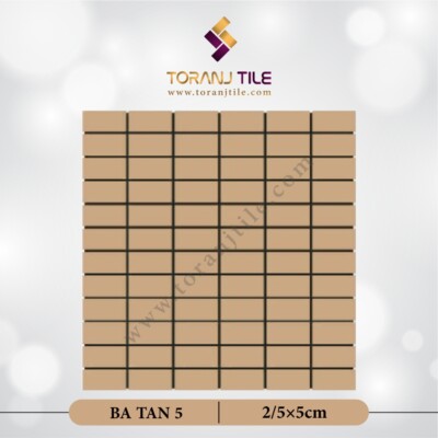 سرامیک کاشی استخری مستطیل البرز BA TAN 5
