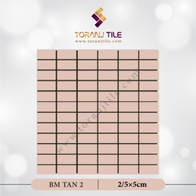 سرامیک کاشی استخری مستطیل البرز BM TAN 2