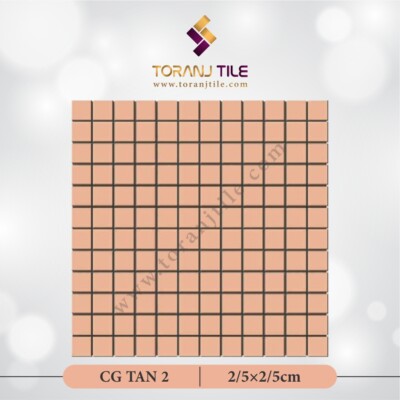 سرامیک کاشی استخری مربعی CG TAN 2