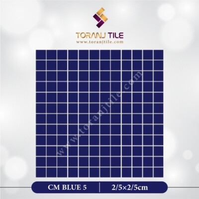 سرامیک کاشی استخری مربعی CM BLUE 5