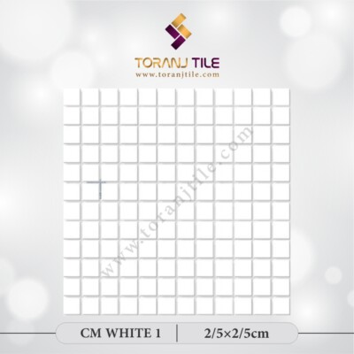 سرامیک کاشی استخری مربعی CM WHITE 1