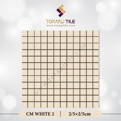 سرامیک کاشی استخری مربعی CM WHITE 2