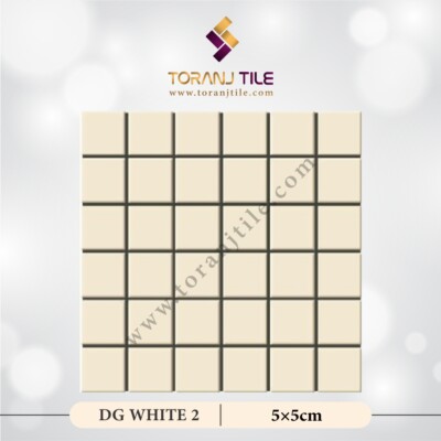 سرامیک کاشی استخری مربع البرز DG WHITE 2