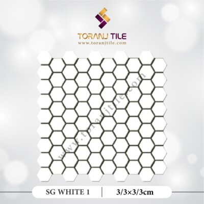 سرامیک کاشی استخری شش ضلعی البرز SG WHITE 1