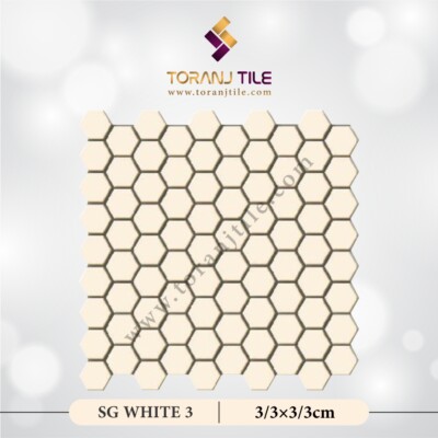 سرامیک کاشی استخری شش ضلعی البرز SG WHITE 3