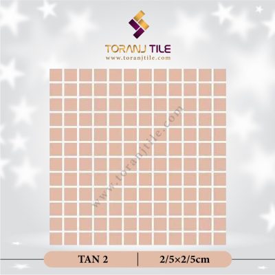 کاشی استخری TAN 2 گلدیس مربع ساده