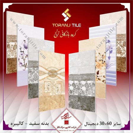 سرام نگار 30 در 60 سرام نگار 30 در 60