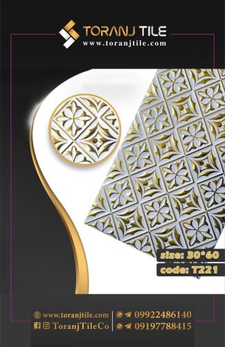 سرامیک کوتینگی 30 در 60 کد 221