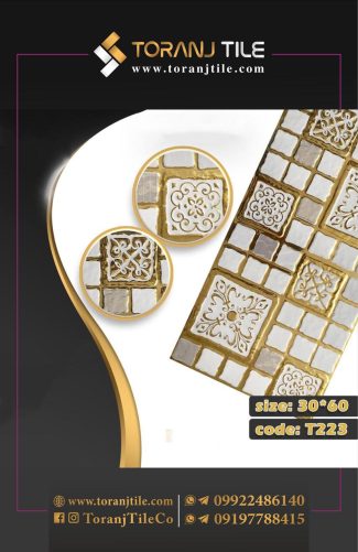 سرامیک کوتینگی 30 در 60 کد 223