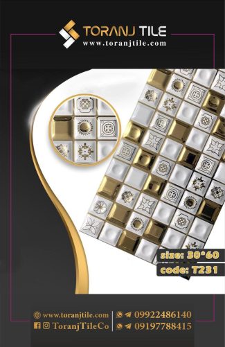 سرامیک کوتینگی 30 در 60 کد 231