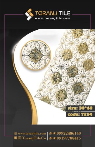 سرامیک کوتینگی 30 در 60 کد 234